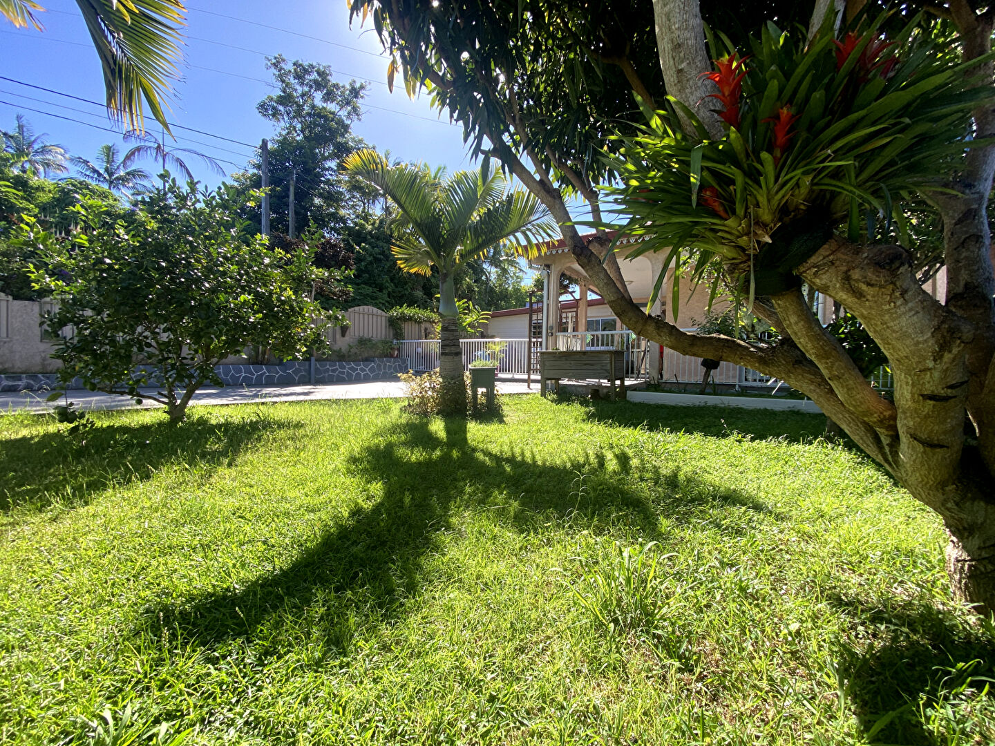 Maison avec T3 indépendant TAMPON 12ème