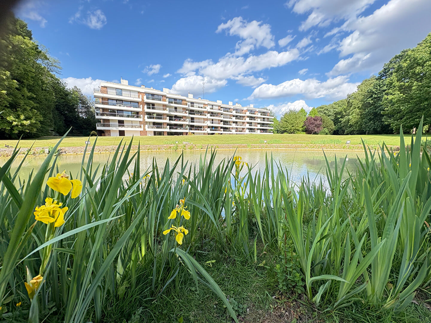 Agence immobilière de Dominique Watine Immobilier Bondues