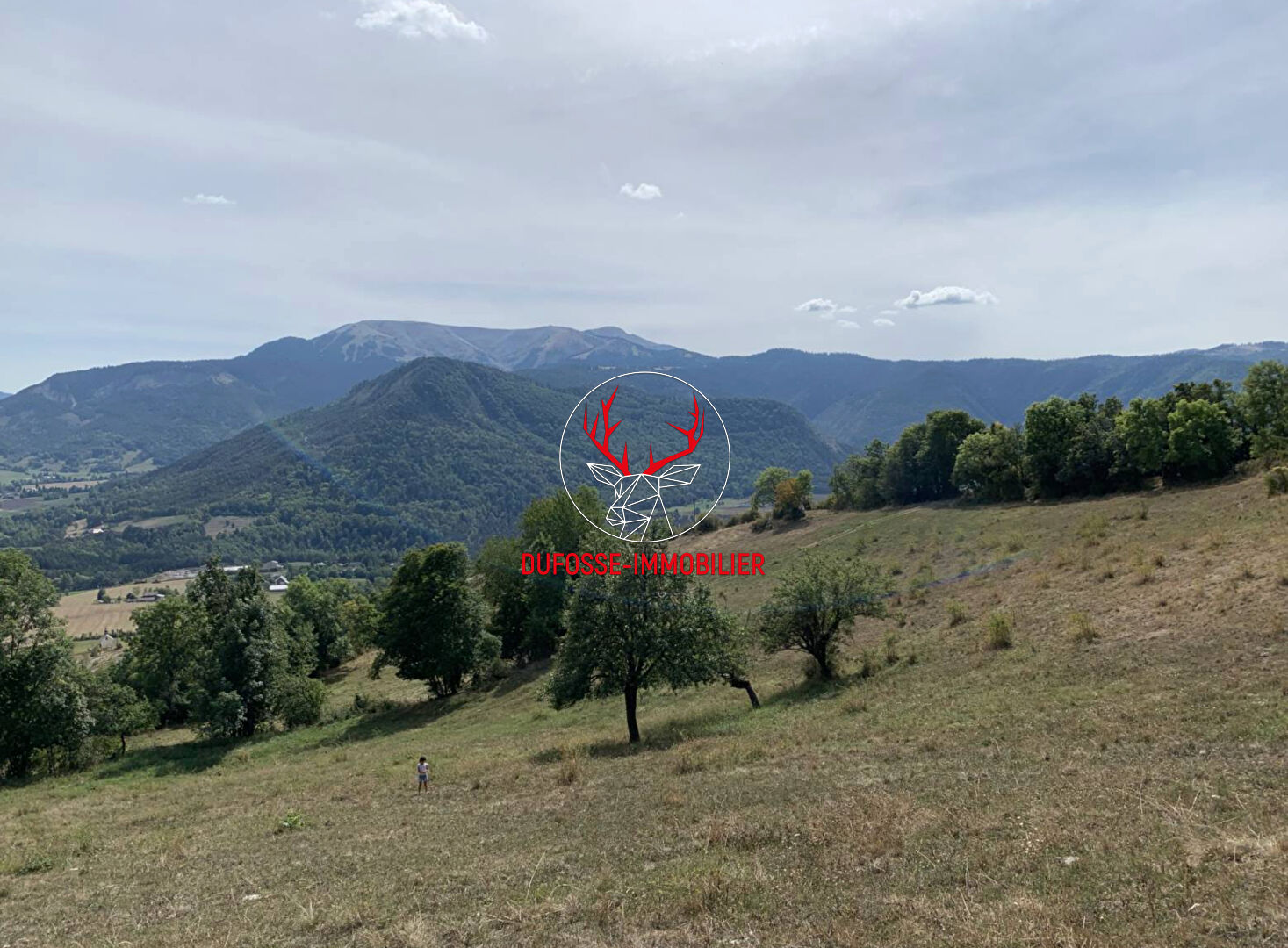 Agence immobilière de DUFOSSÉ IMMOBILIER