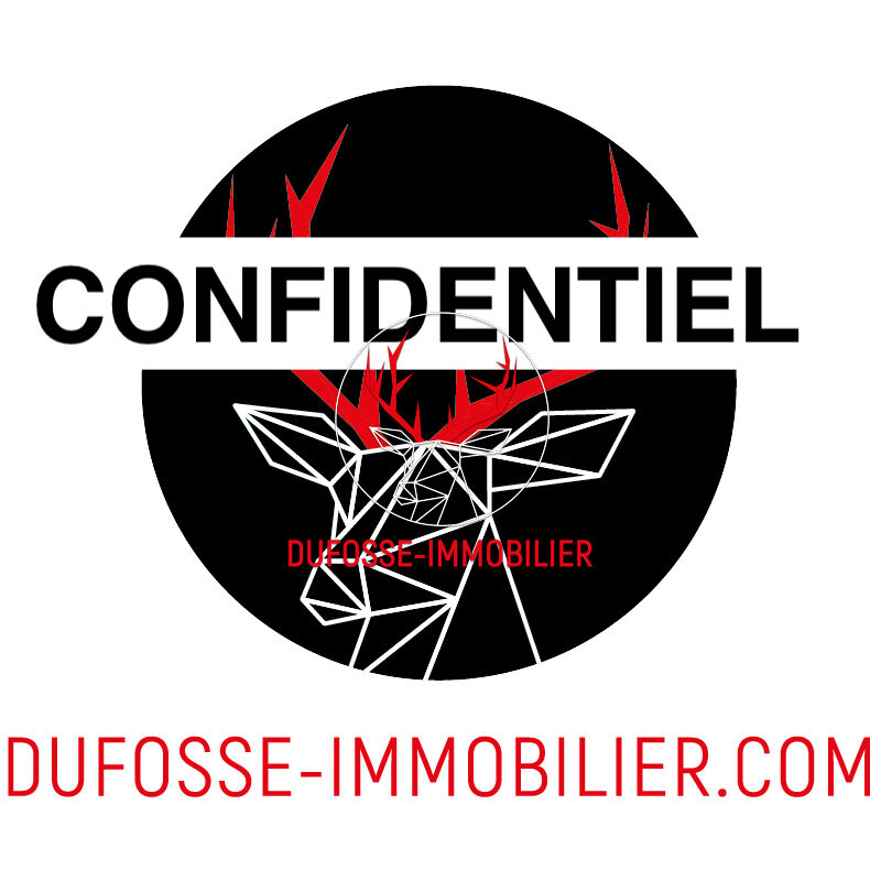 Agence immobilière de DUFOSSÉ IMMOBILIER