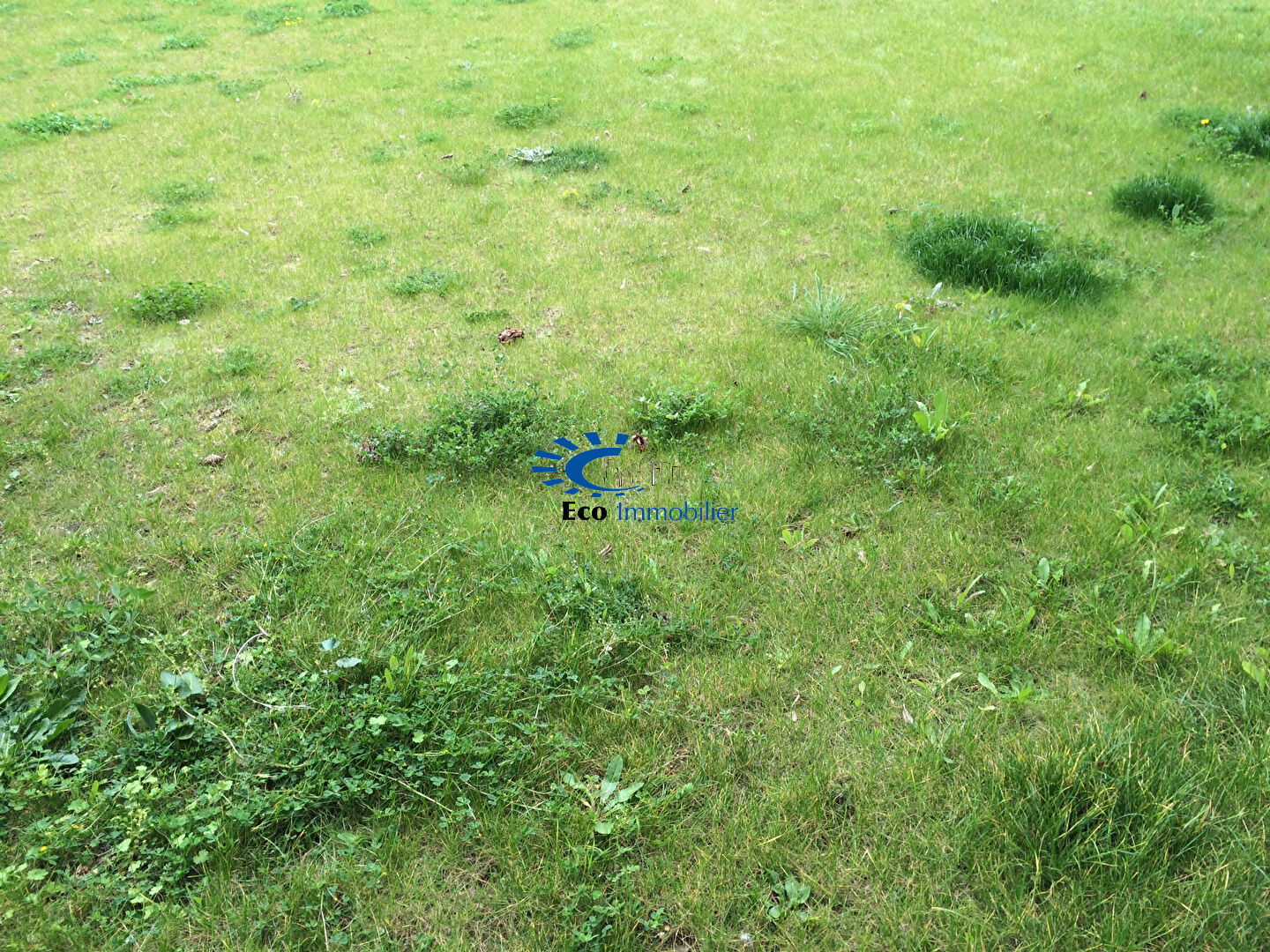 Agence immobilière de Eco Immobilier Périgny