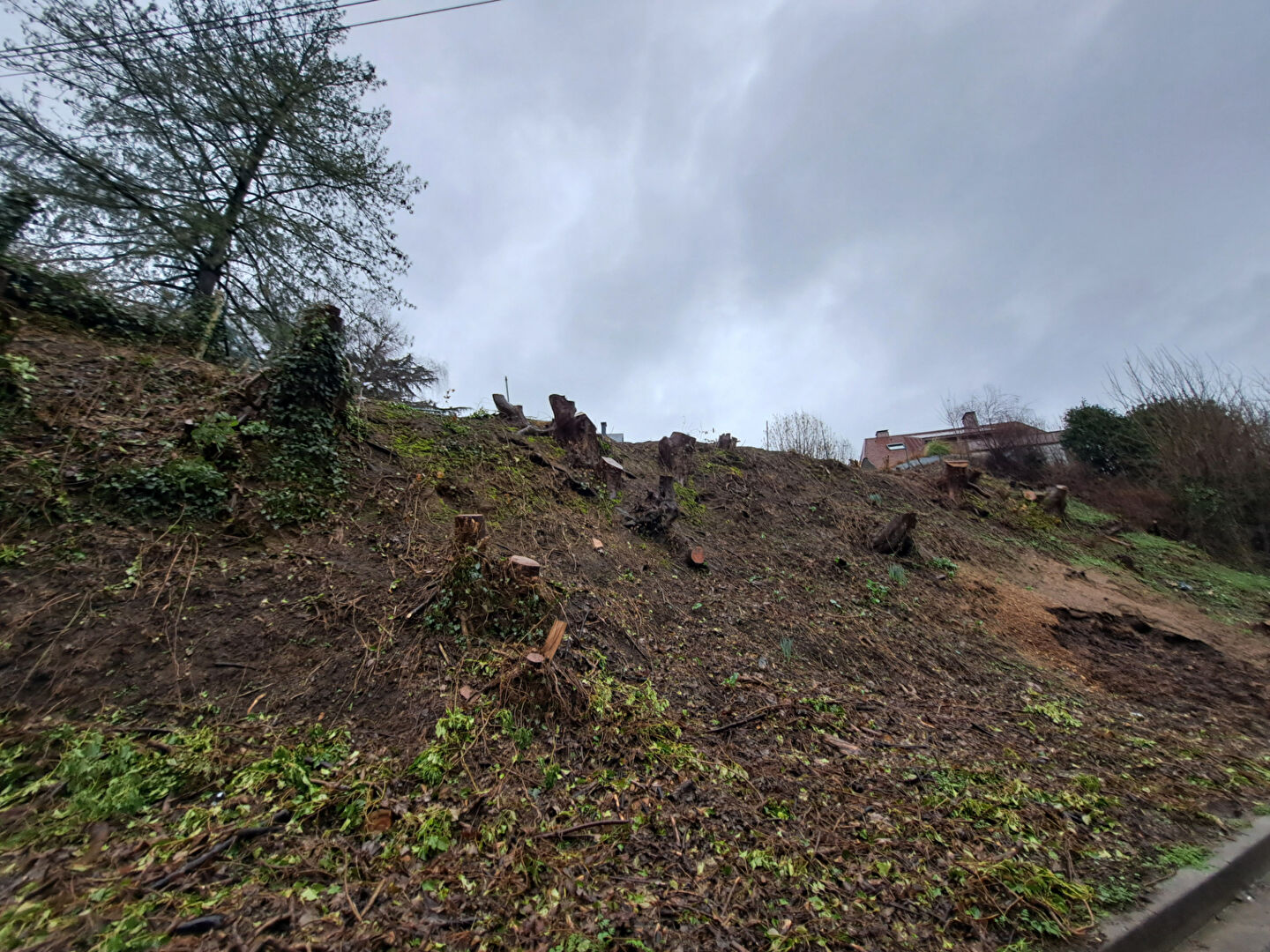 Terrain Mont Saint Aignan 505 m2 avec permis de construire