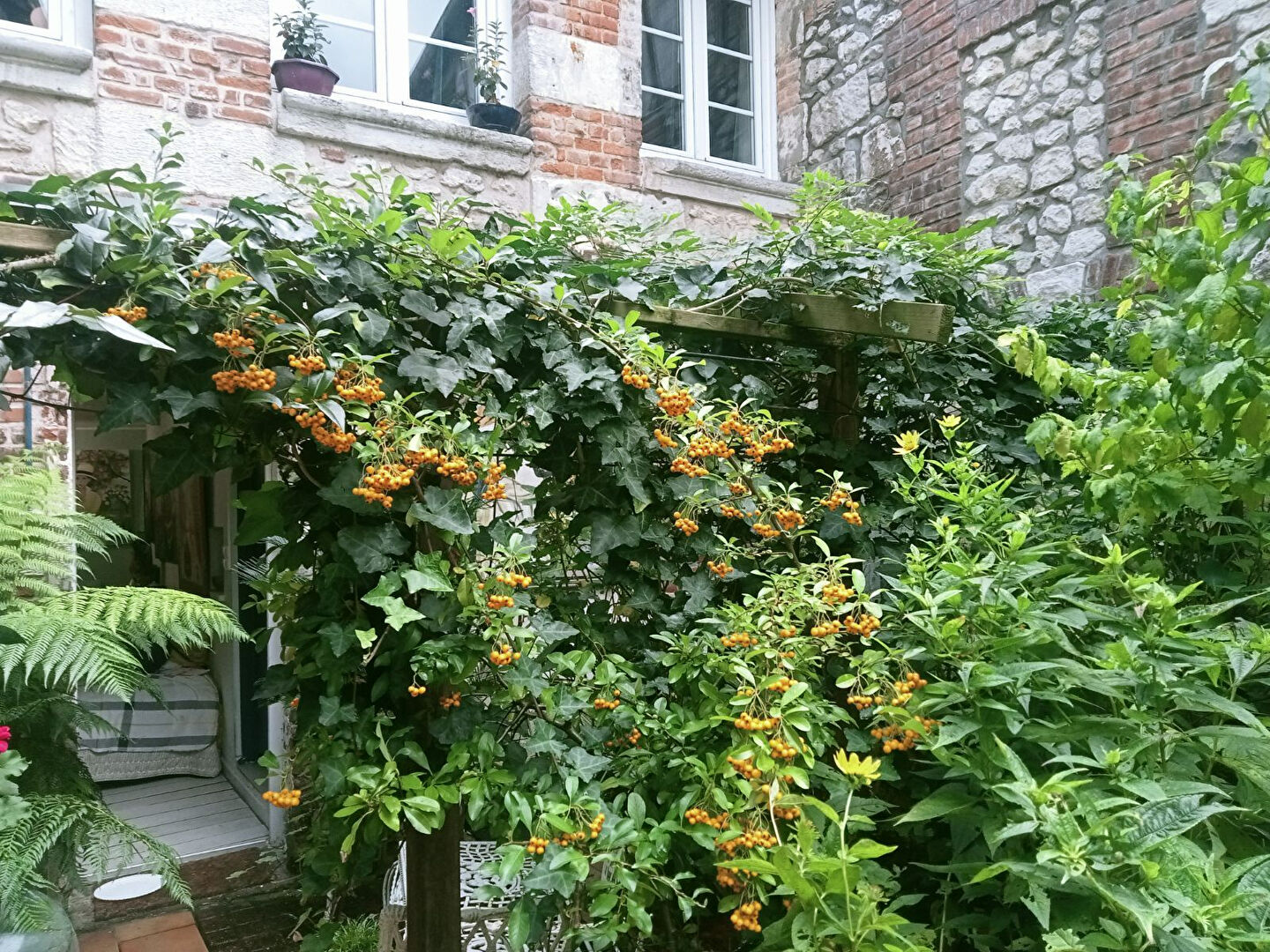 Photo Immeuble La Bouille image 3/6