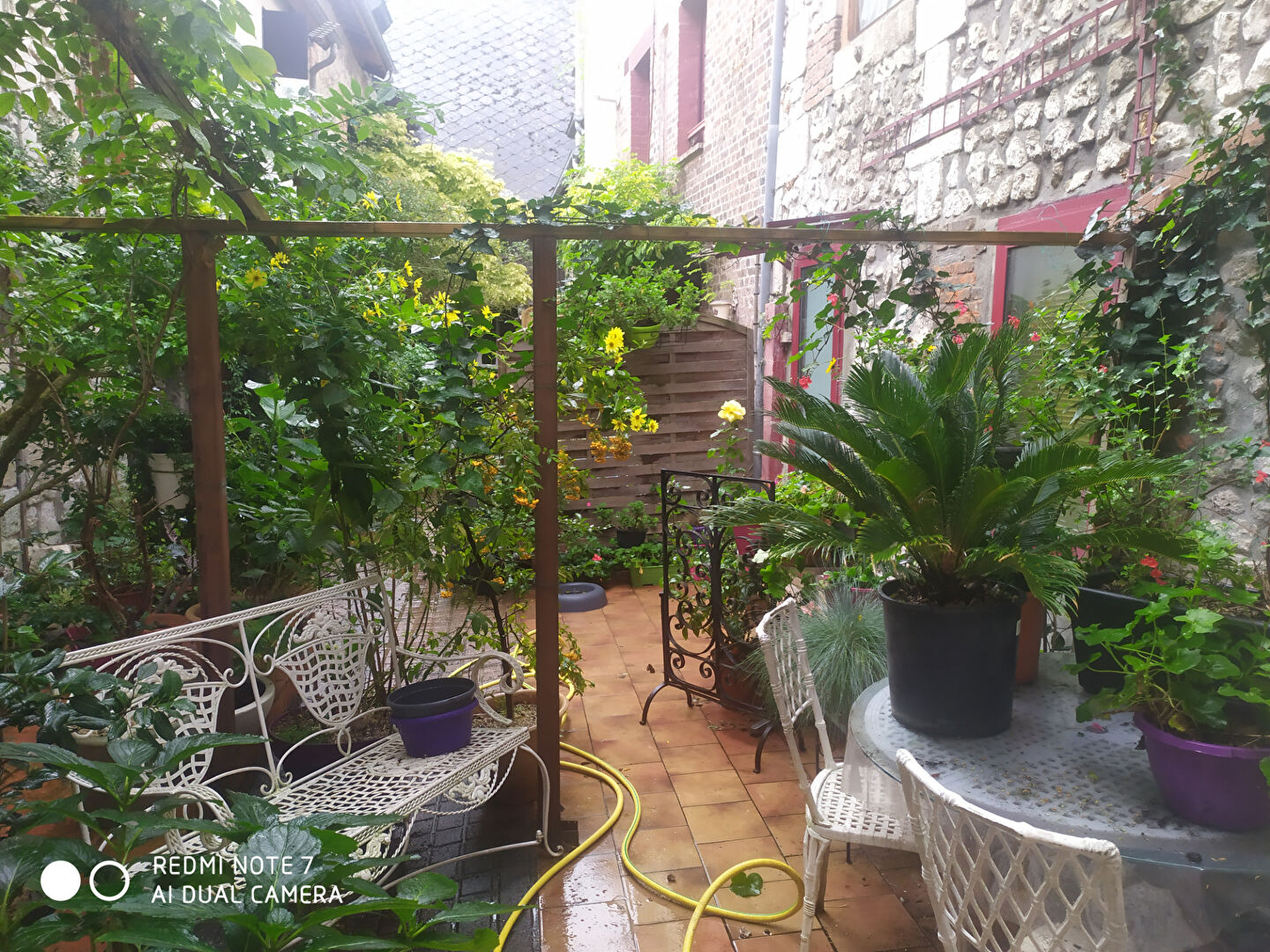 Photo Immeuble La Bouille image 4/6