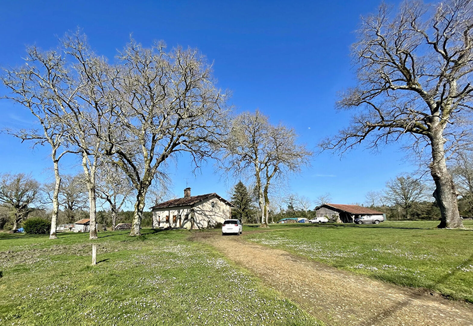 Maison 3 chambres  isolée, combles aménageable et dépendance