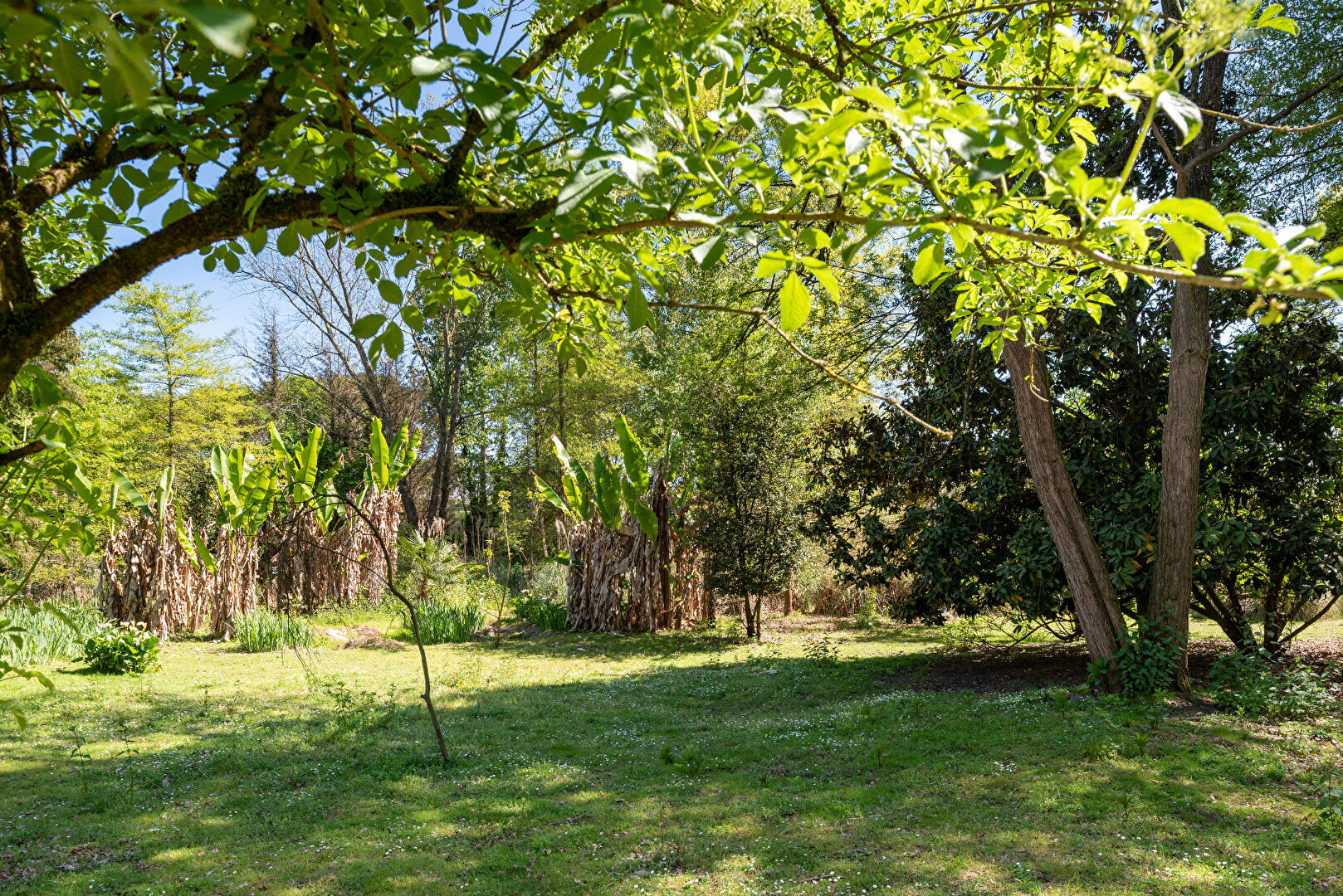 A 5mn de Mont de Marsan grande maison familiale avec parc possibilité division en deux logements