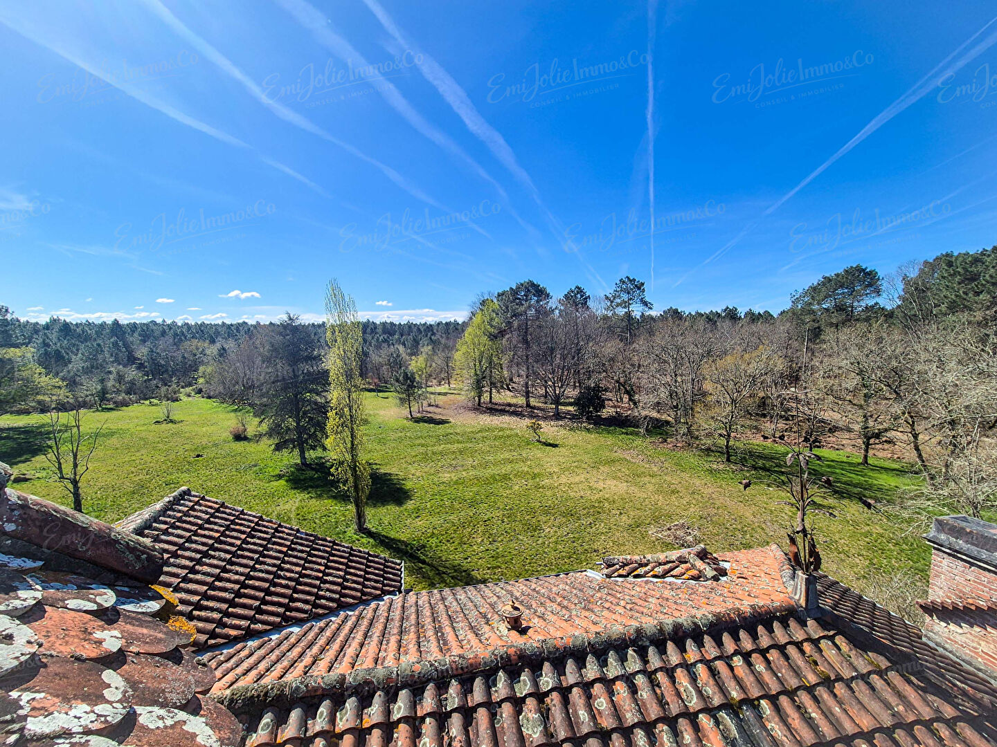 Demeure de prestige Retjons sur parc de 7 hectares