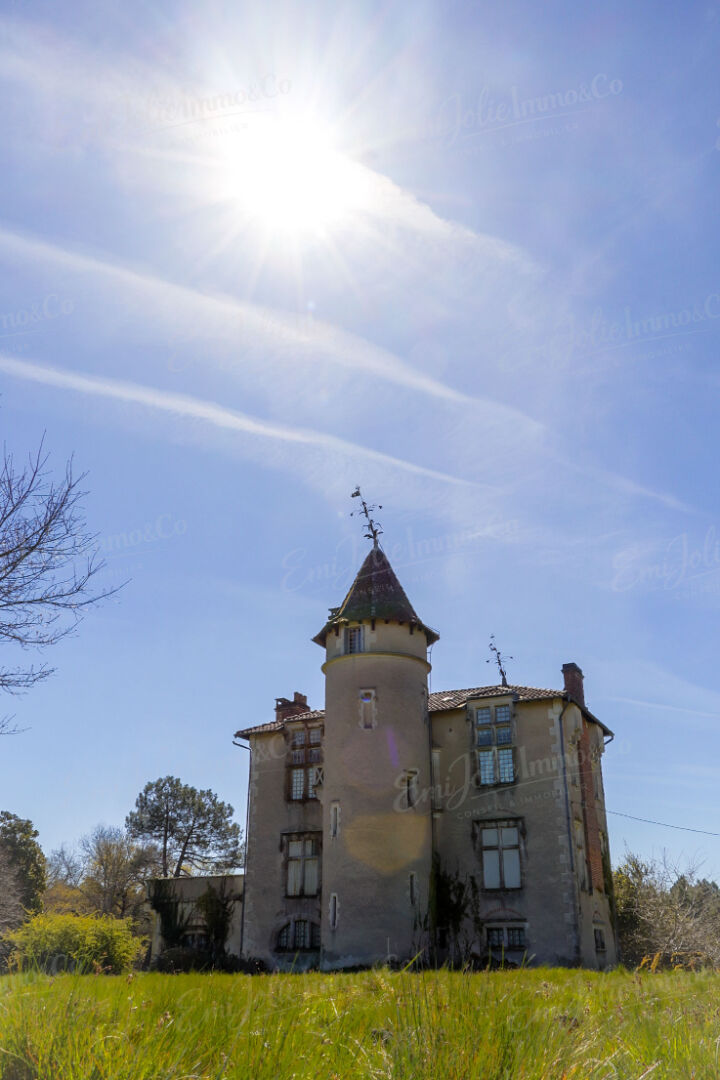 Demeure de prestige Retjons sur parc de 7 hectares