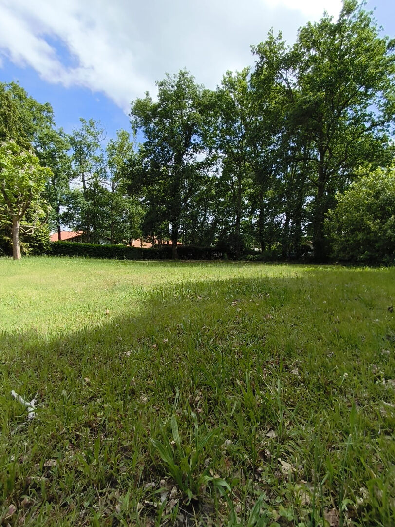 Terrain constructible dans un quartier prisé de MONT DE MARSAN