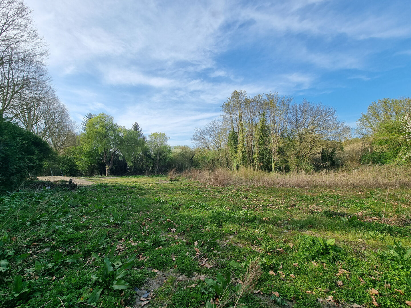 Photo Terrain Villiers Saint Frederic image 3/4