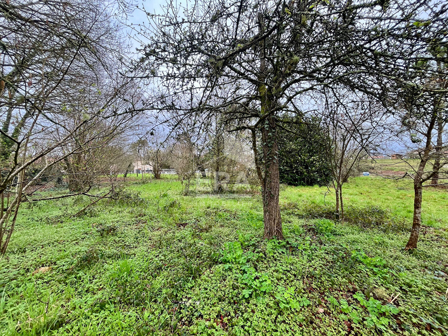Photo Terrain viabilisé et constructible de 1 062 m² image 1/2