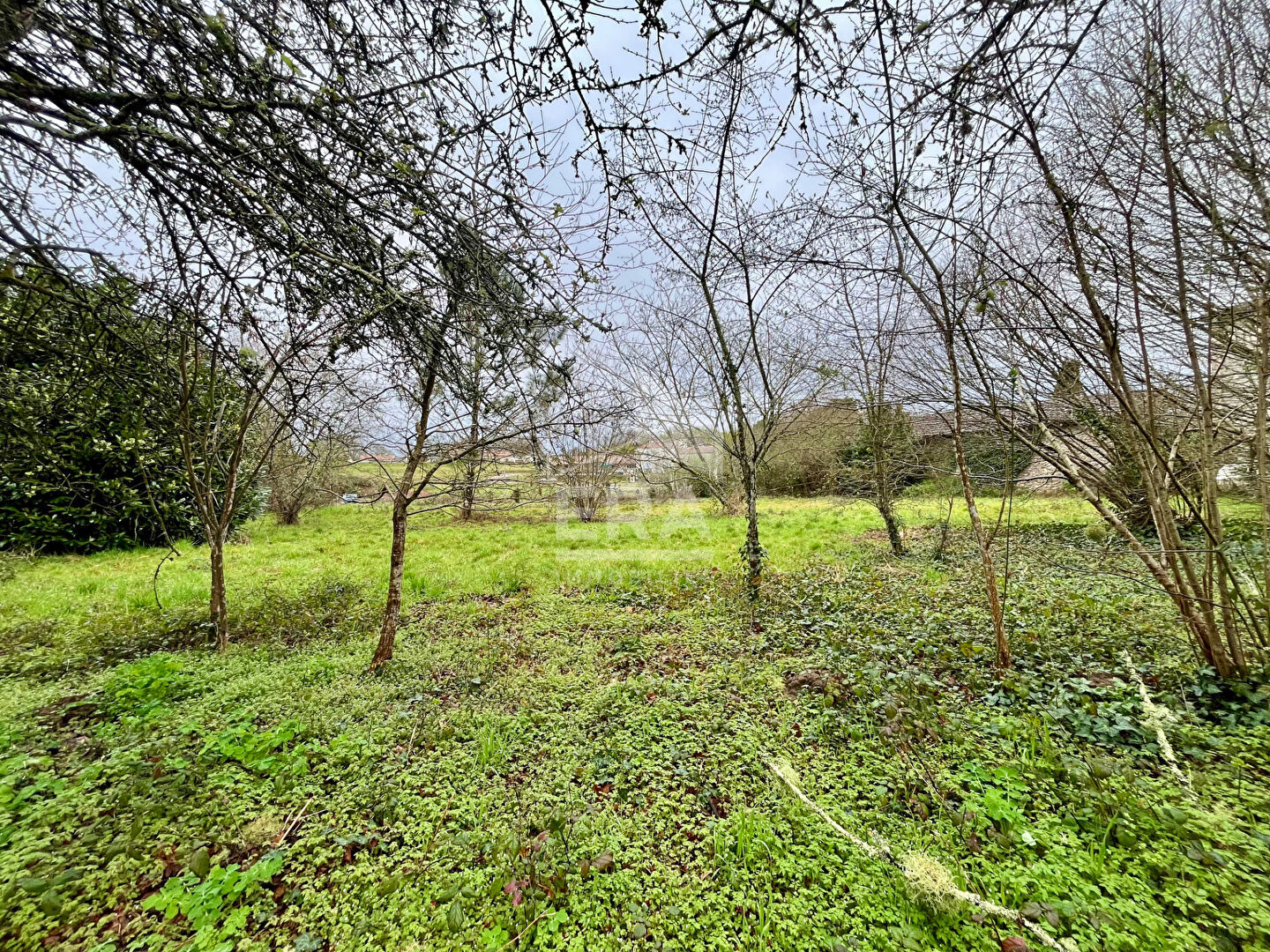 Terrain viabilisé et constructible de 1 335 m²