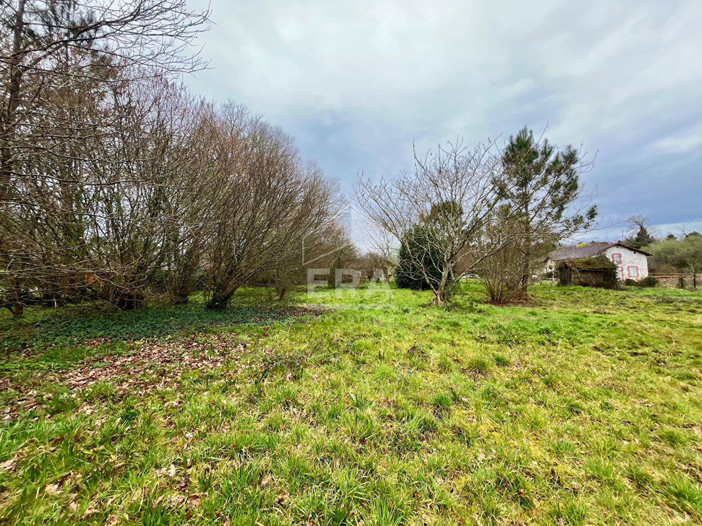 Photo Terrain viabilisé et constructible de 2 397 m2 image 1/2