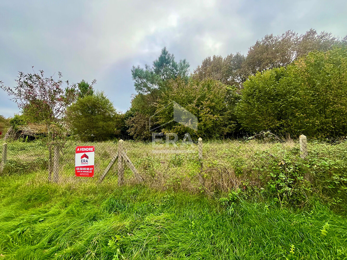 Terrain viabilisé et constructible de 2 397 m2