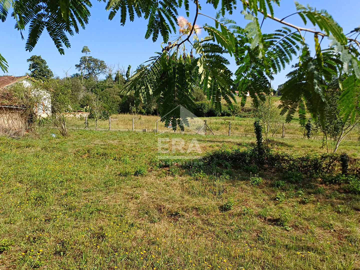 Photo Terrain viabilisé et constructible de 2 397 m2 image 2/3