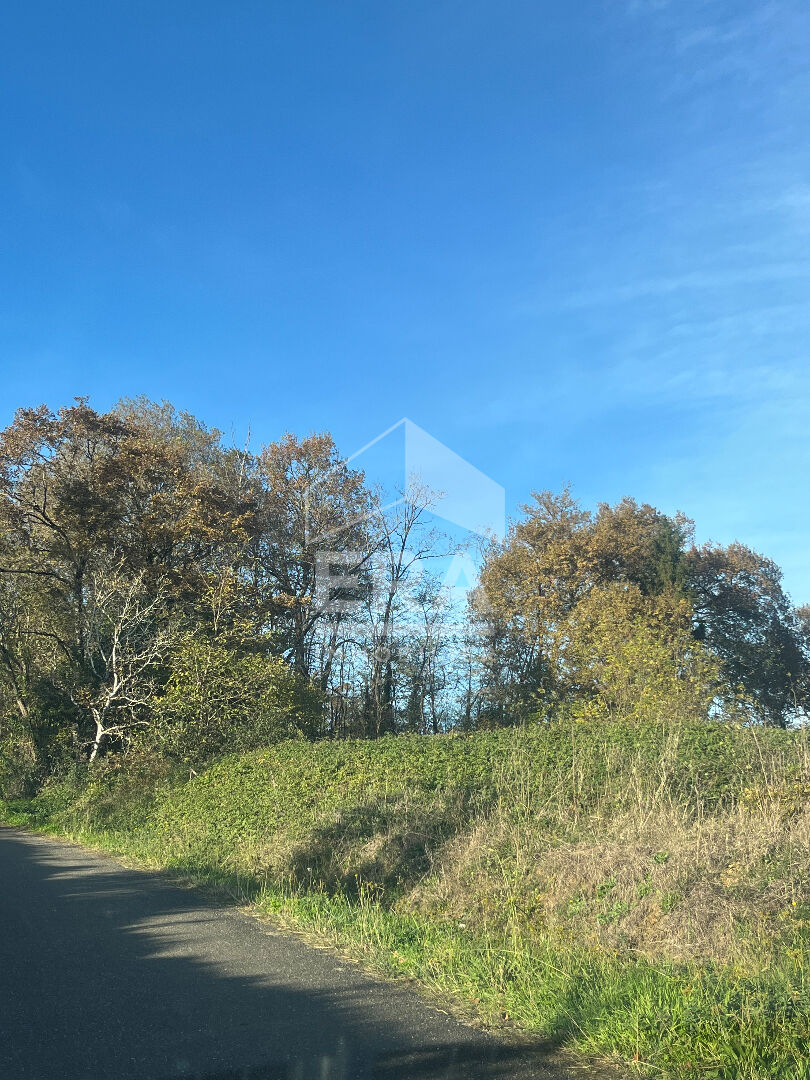 Terrains agricoles à Momuy de 18 720 m²