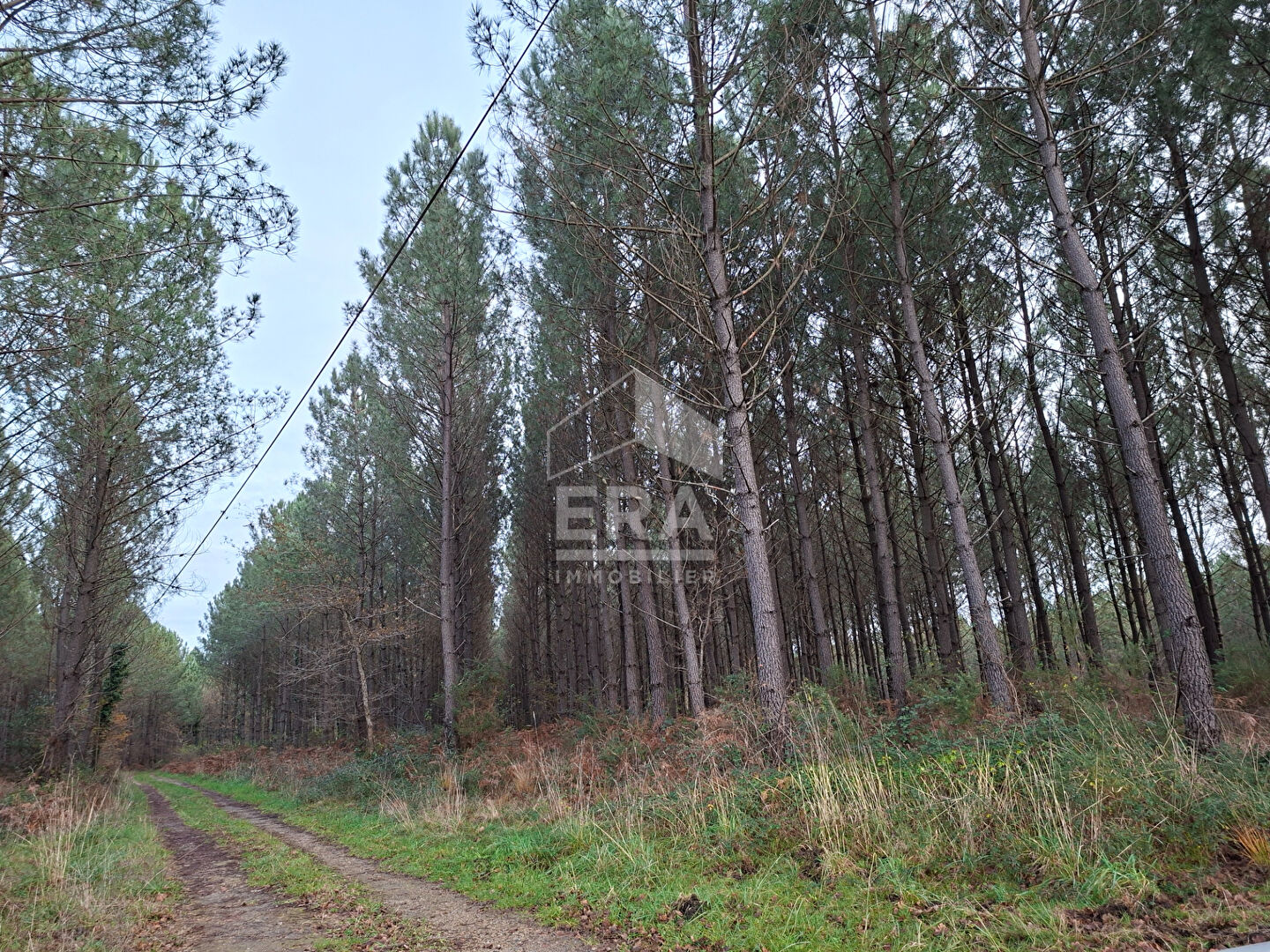 Terrain de loisirs Arjuzanx - Morcenx-la-nouvelle