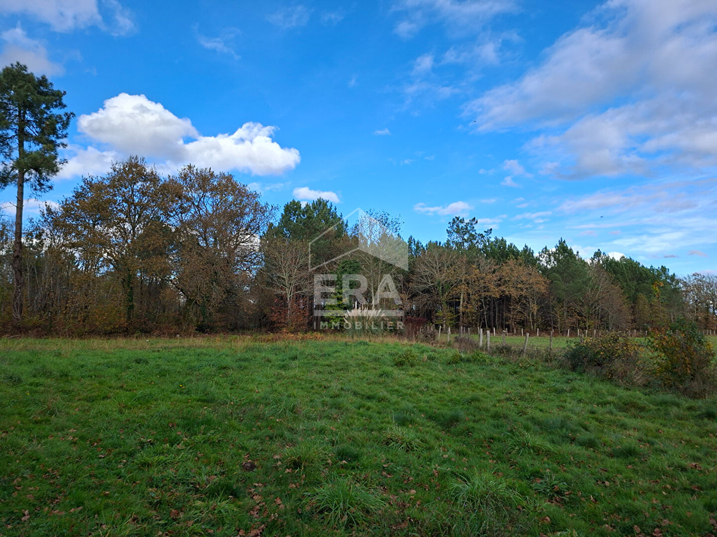 Photo Maison landaise image 1/4