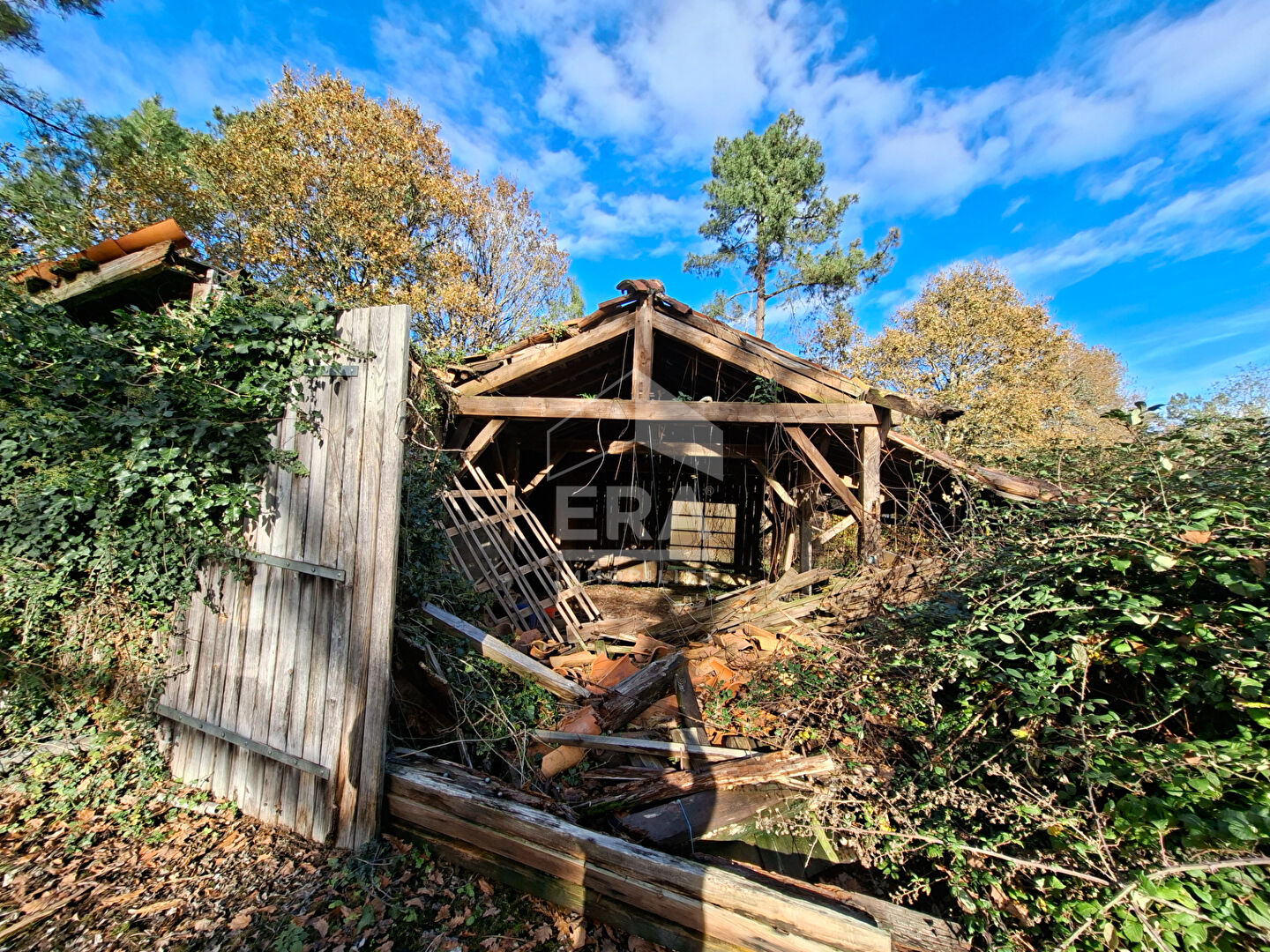 Photo Maison landaise image 2/4