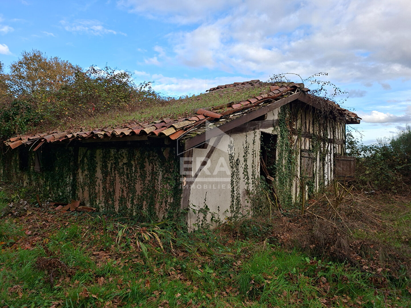 Photo Maison landaise image 3/4