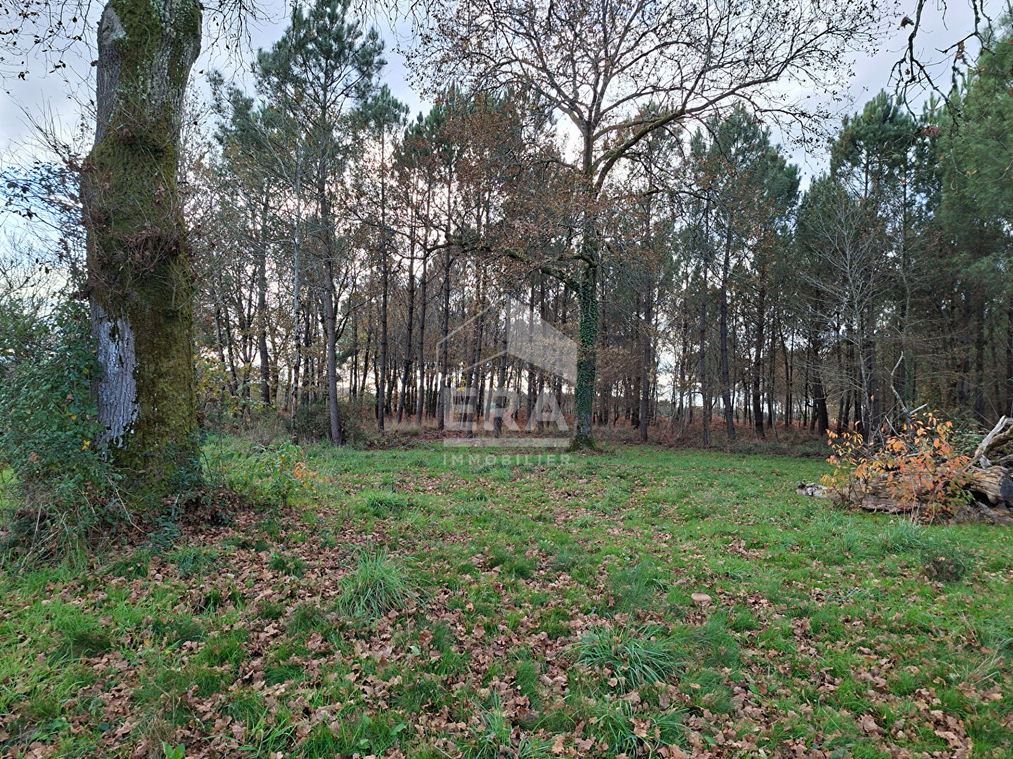 Photo Maison landaise image 4/4