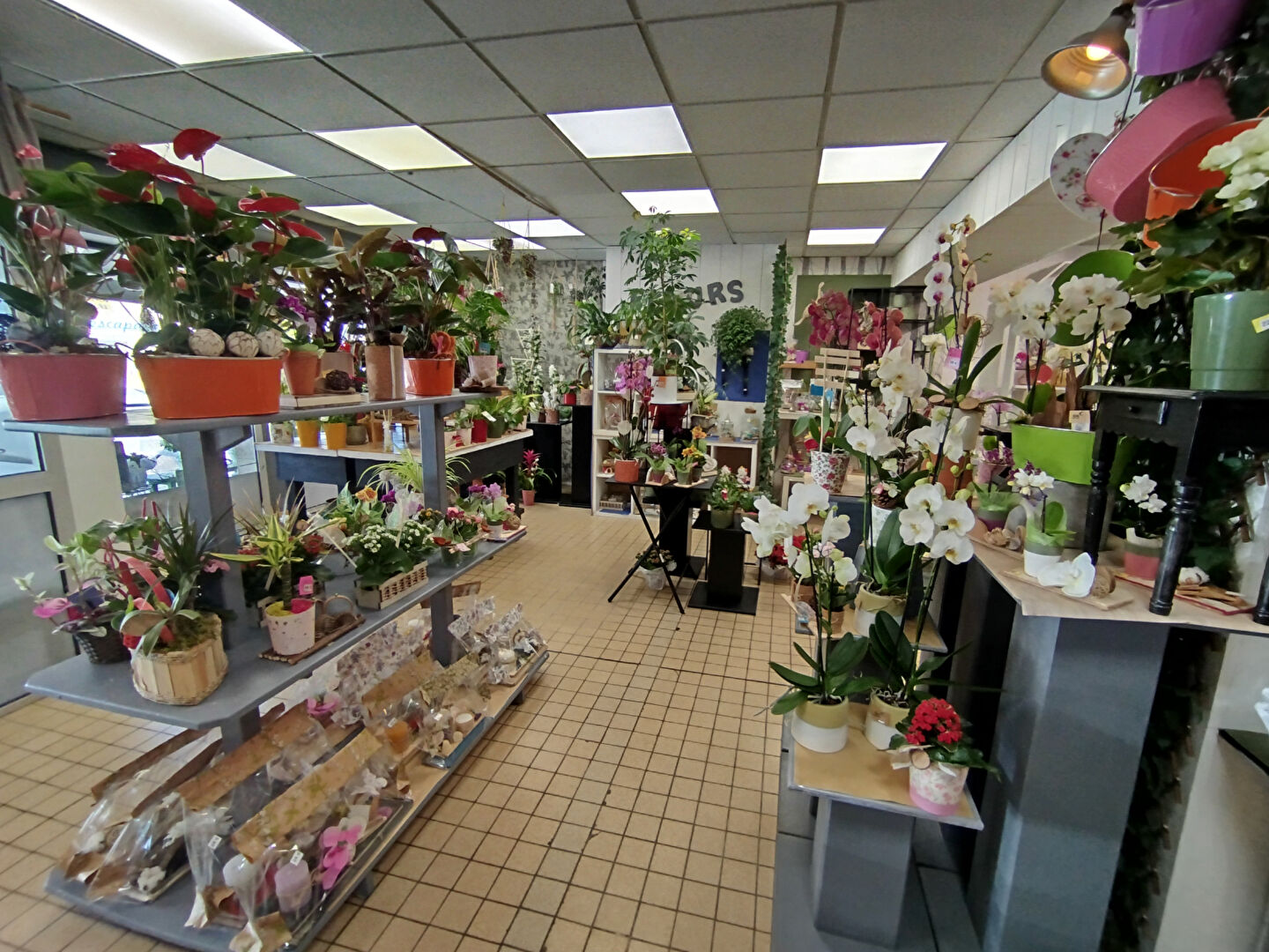 Photo A vendre Maison à Lampaul-Guimiliau  de 203 m². image 6/6