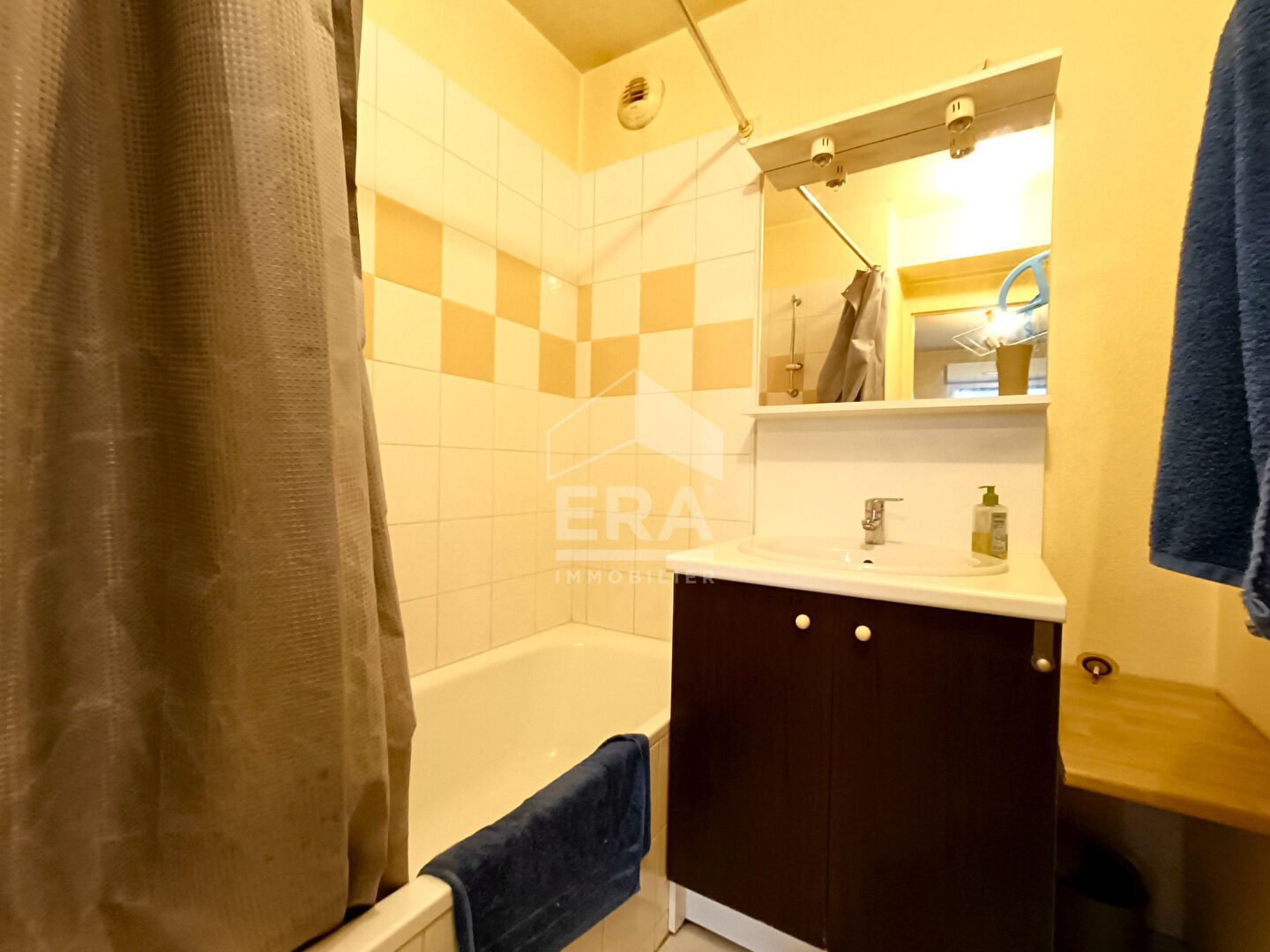 Photo PAU NORD : Appartement en RDC avec terrasse image 5/6