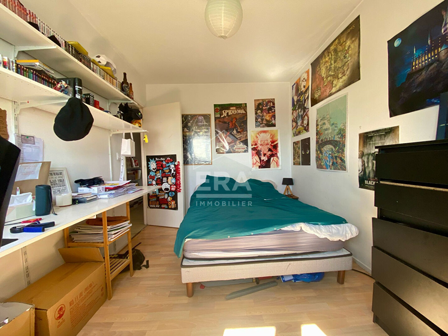 Photo L'appartement le plus haut de Pau - T4 plein sud de 103m² image 6/6