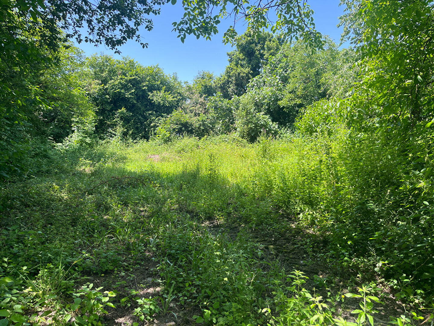 Photo Exlusivité ERA : SENDETS : Terrain constructible de 1 800 m²  Rare à la vente image 1/6