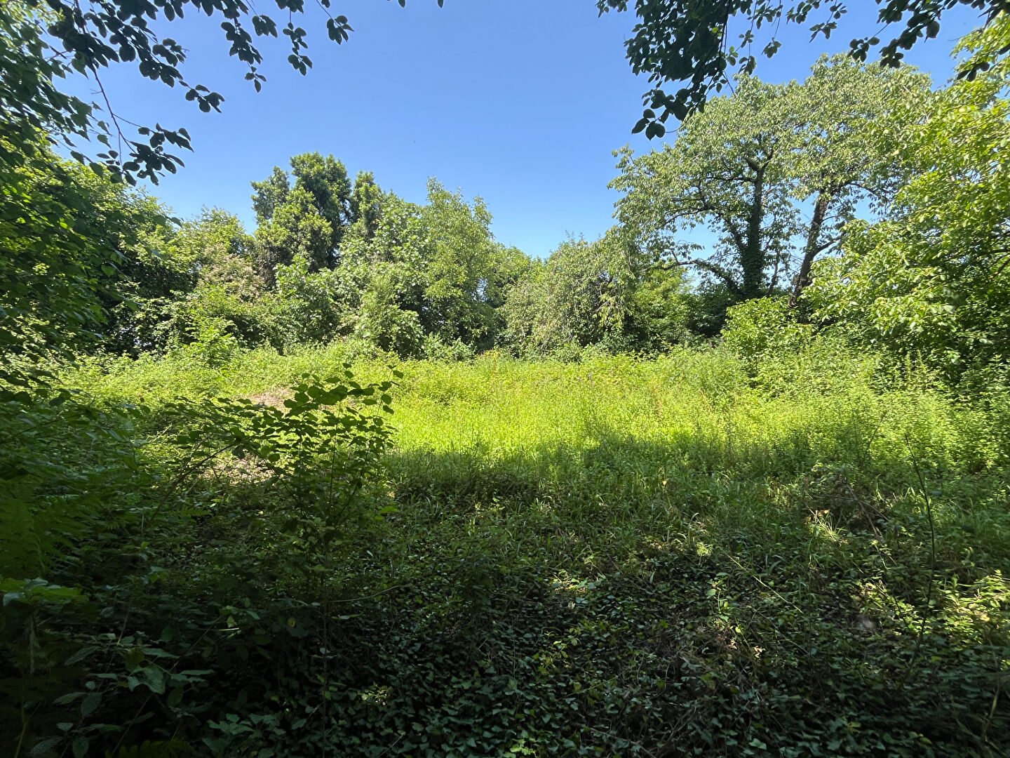 Photo Exlusivité ERA : SENDETS : Terrain constructible de 1 800 m²  Rare à la vente image 2/6