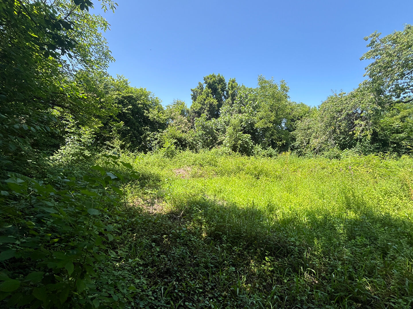 Photo Exlusivité ERA : SENDETS : Terrain constructible de 1 800 m²  Rare à la vente image 3/6