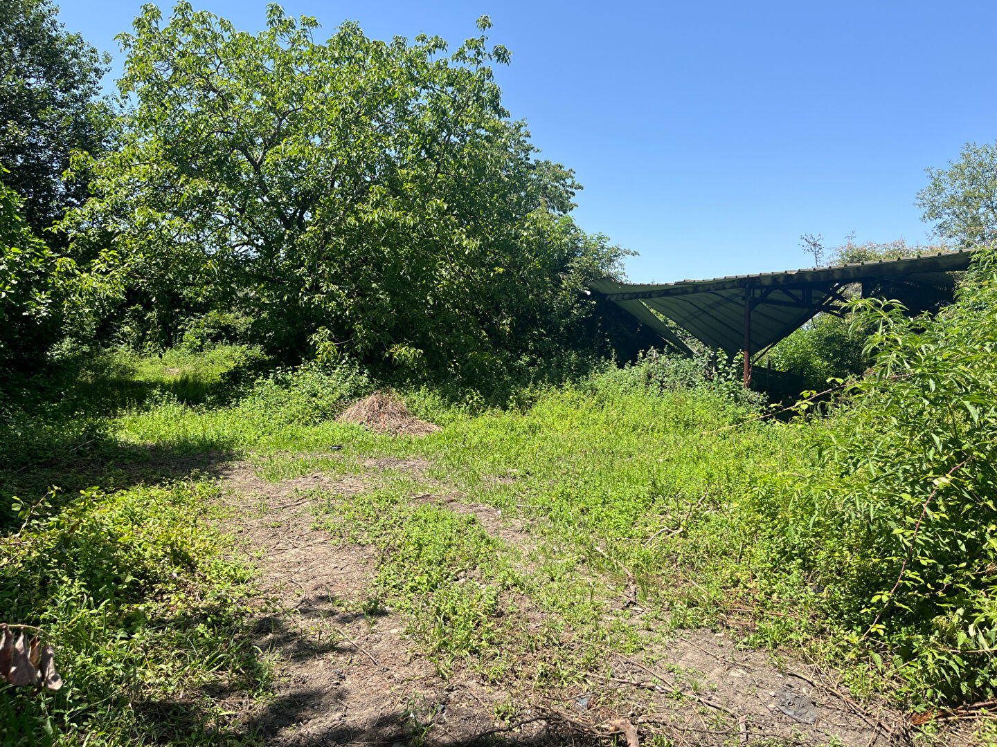 Photo Exlusivité ERA : SENDETS : Terrain constructible de 1 800 m²  Rare à la vente image 4/6