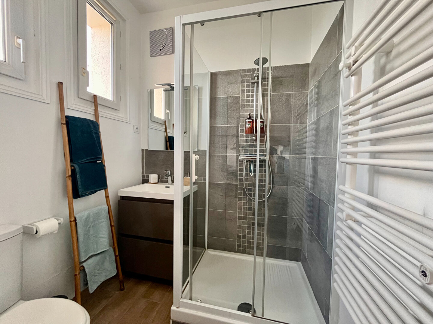 Photo Appartement VUE MER Dinard 1 pièce(s) 22 m2 + CAVE image 4/6