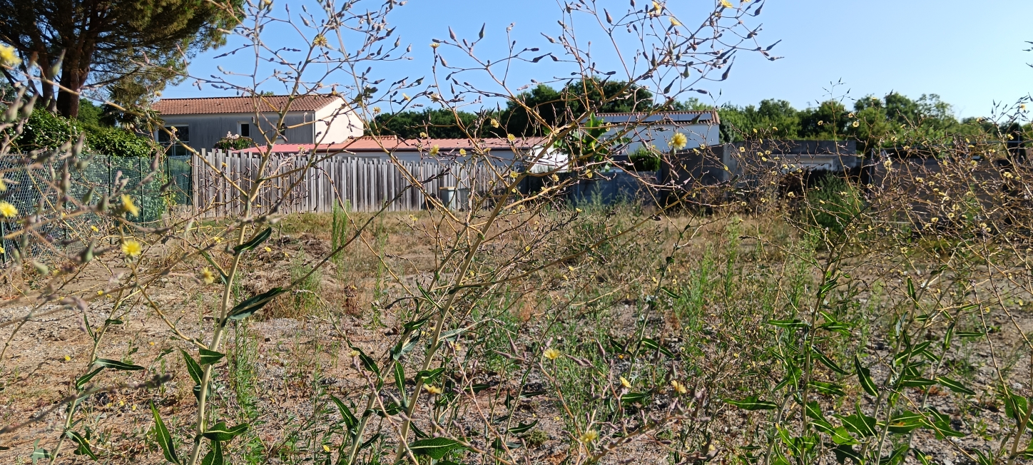 Agence immobilière de 
 ERA VERTOU - ERA VERTOU 
