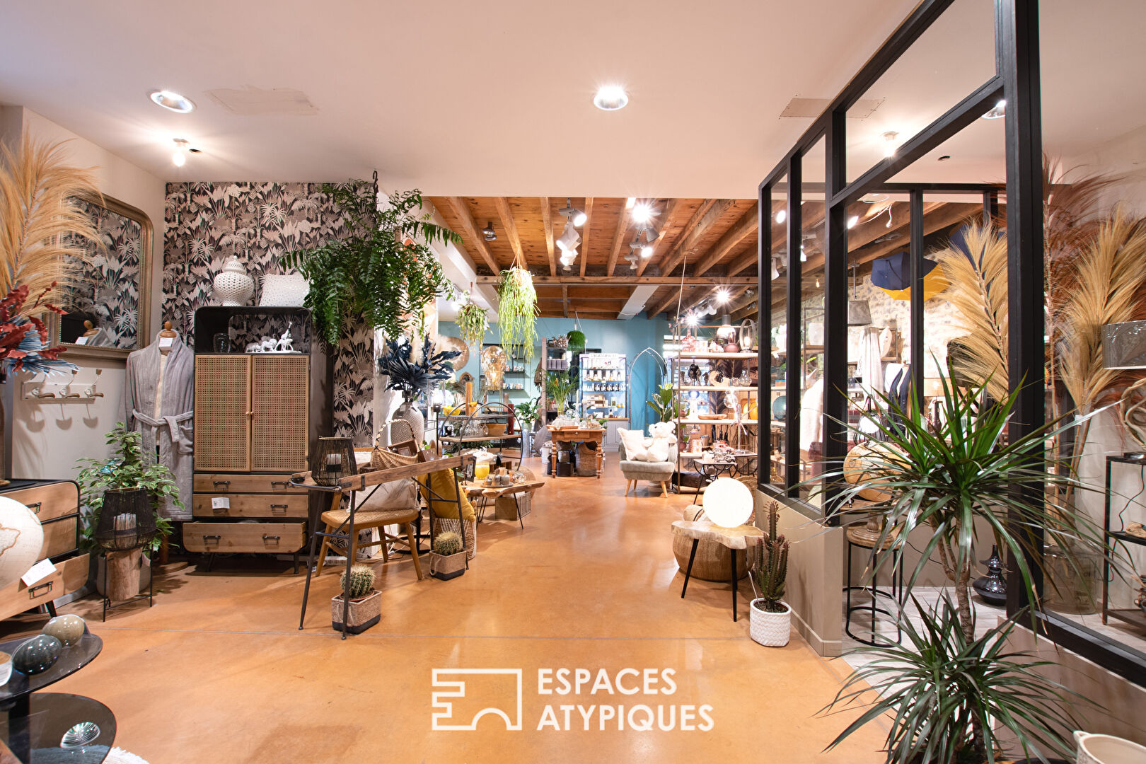 Photo Immeuble avec local commercial et grand appartement duplex image 4/6