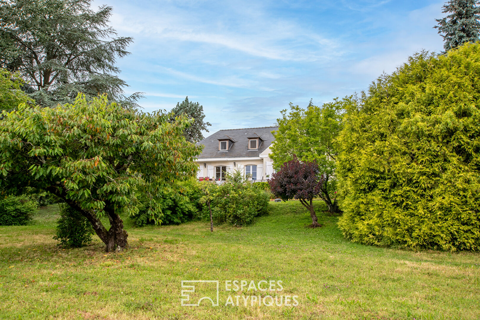 Photo Maison dans son parc avec vie de plain-pied image 3/6