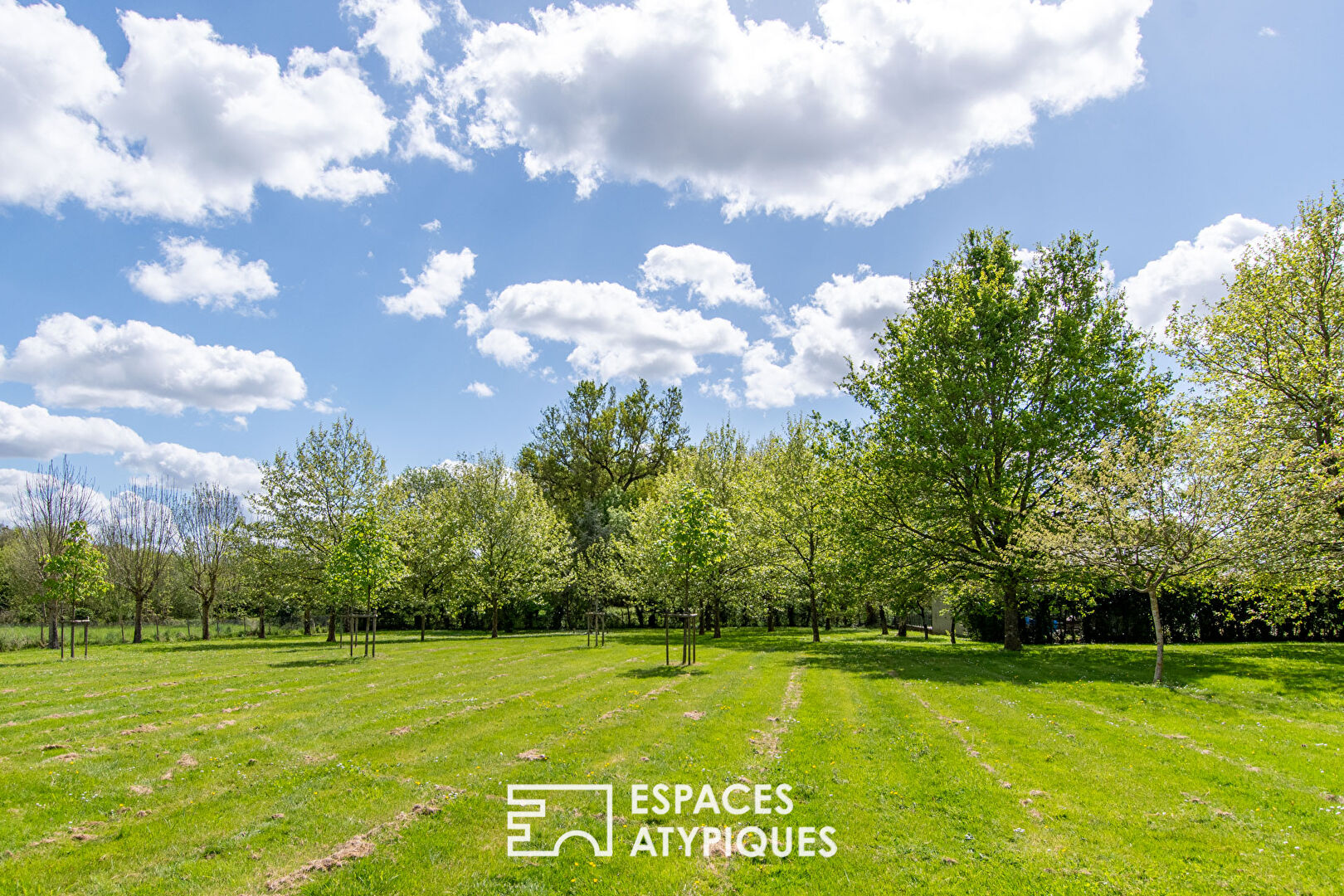 Photo Longère authentique et de charme au calme image 3/6