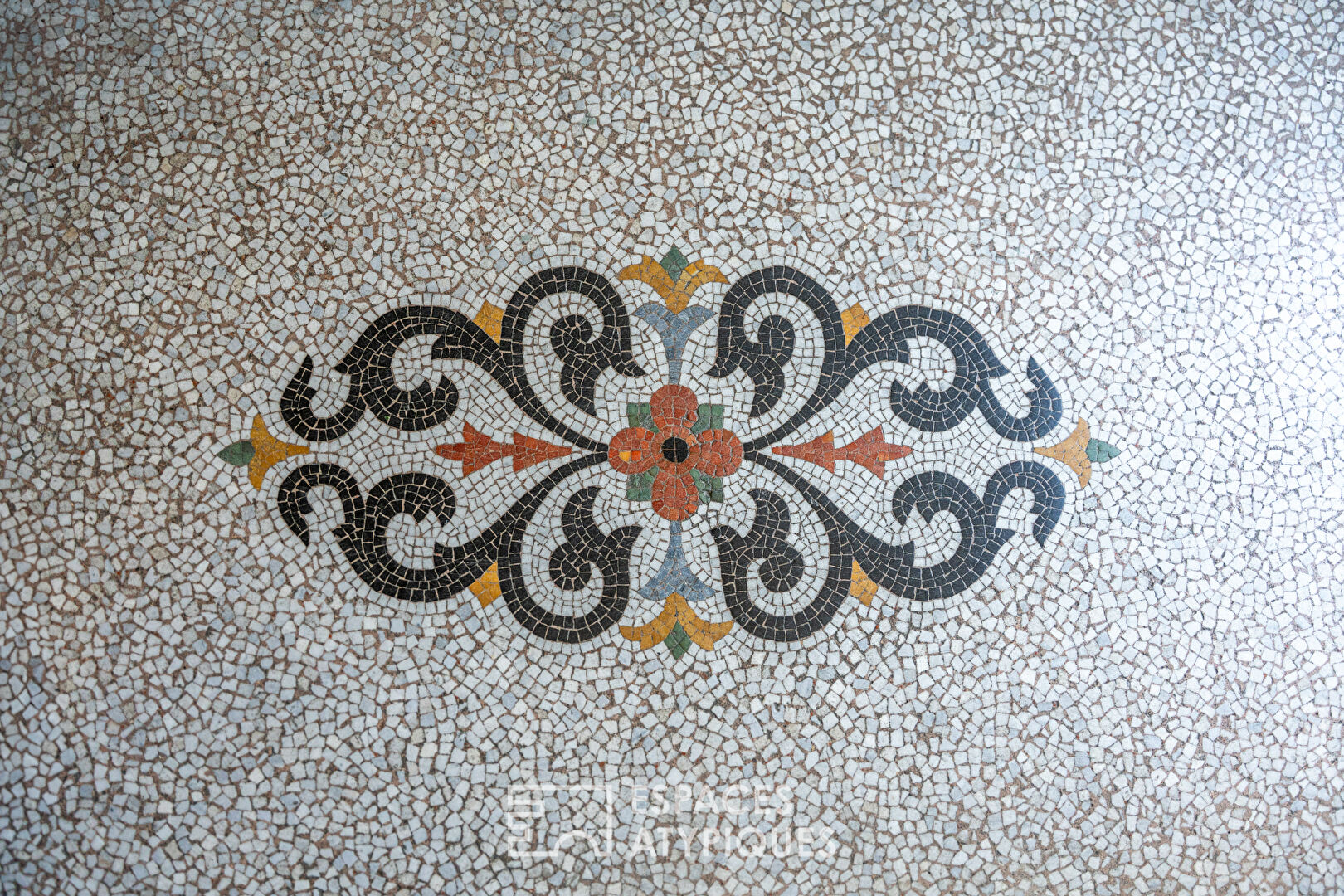 Photo Elégant hôtel particulier bourgeois en hyper centre image 4/6