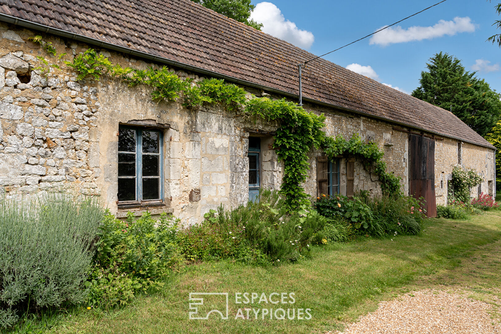 Photo Propriété avec cabanes dans les arbres image 6/6
