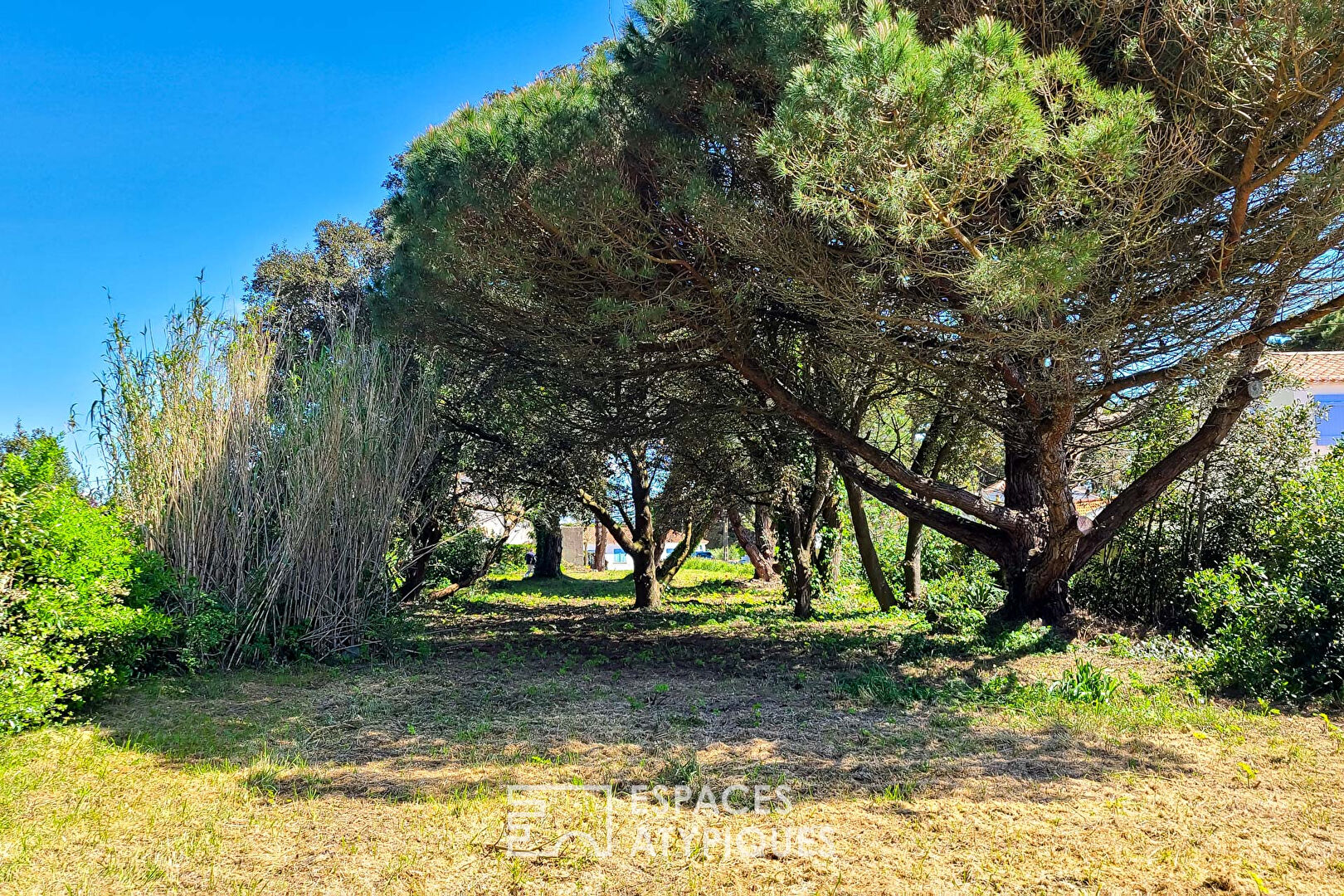 Photo Terrain constructible à 100 mètres de la plage image 2/6