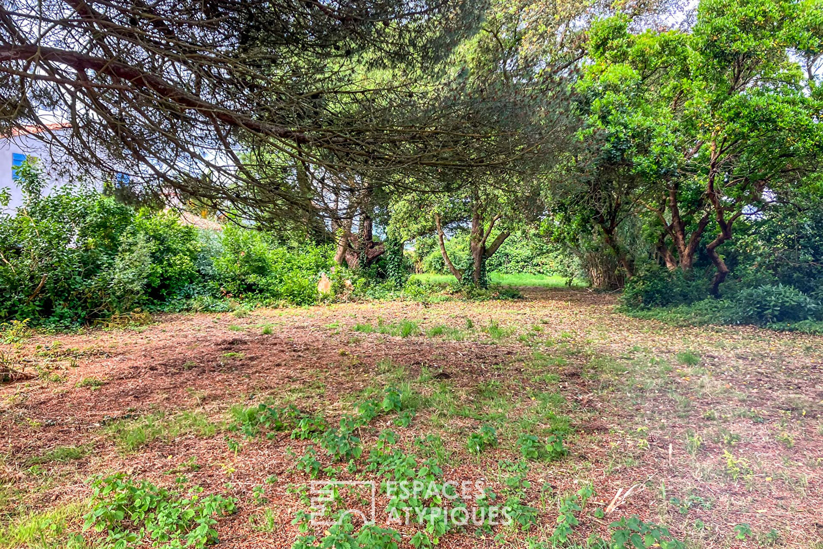 Photo Terrain constructible à 100 mètres de la plage image 4/6