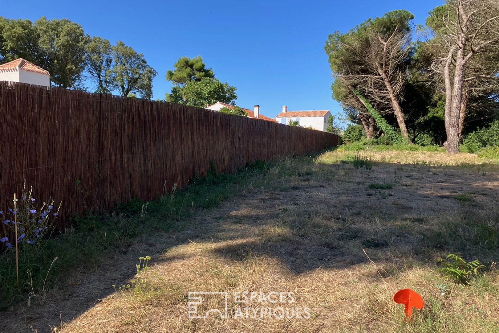 Photo Terrain constructible à 100 mètres de la plage image 5/6