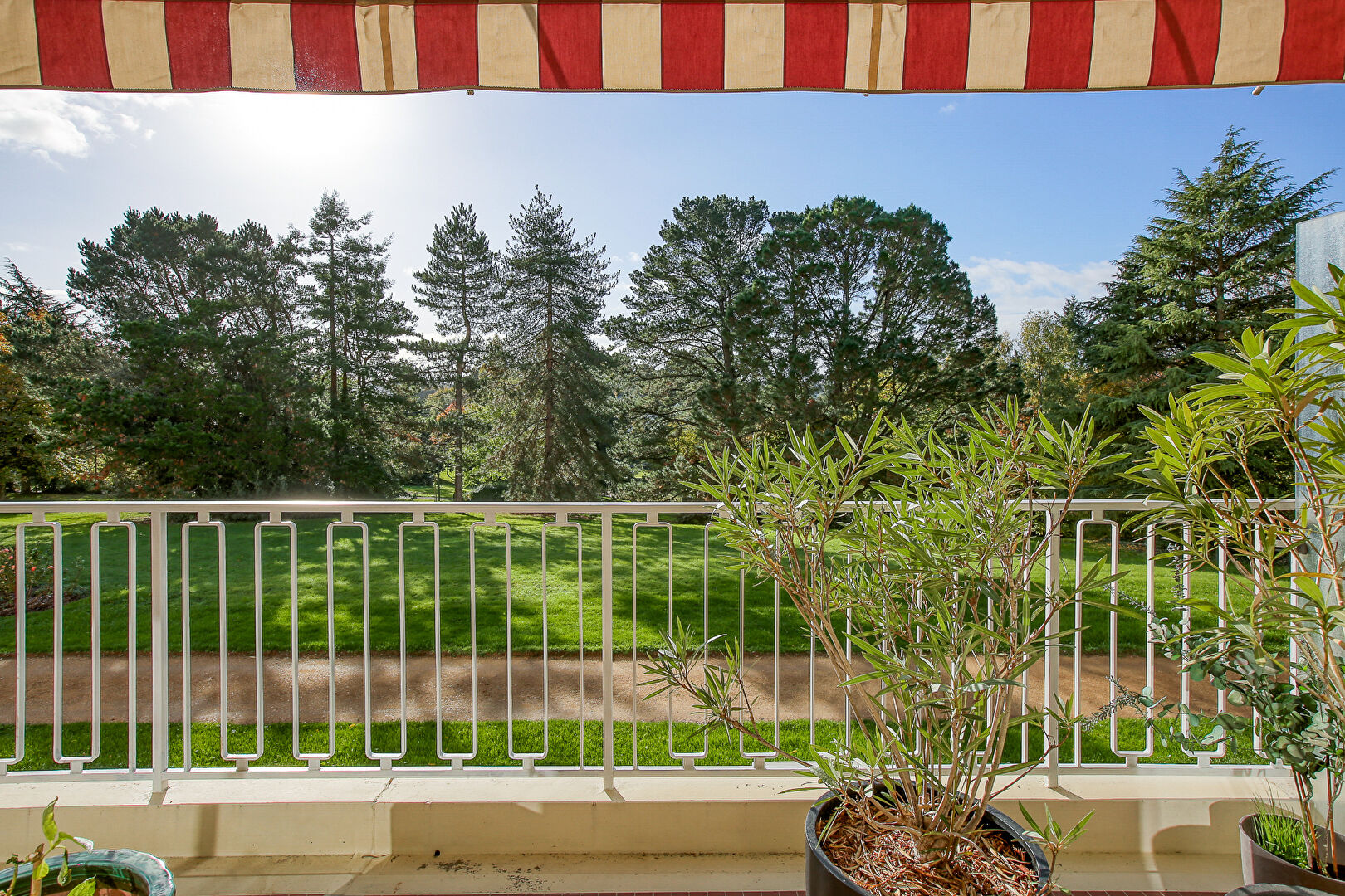 Photo Appartement niché au sein de la canopée angevine image 2/6