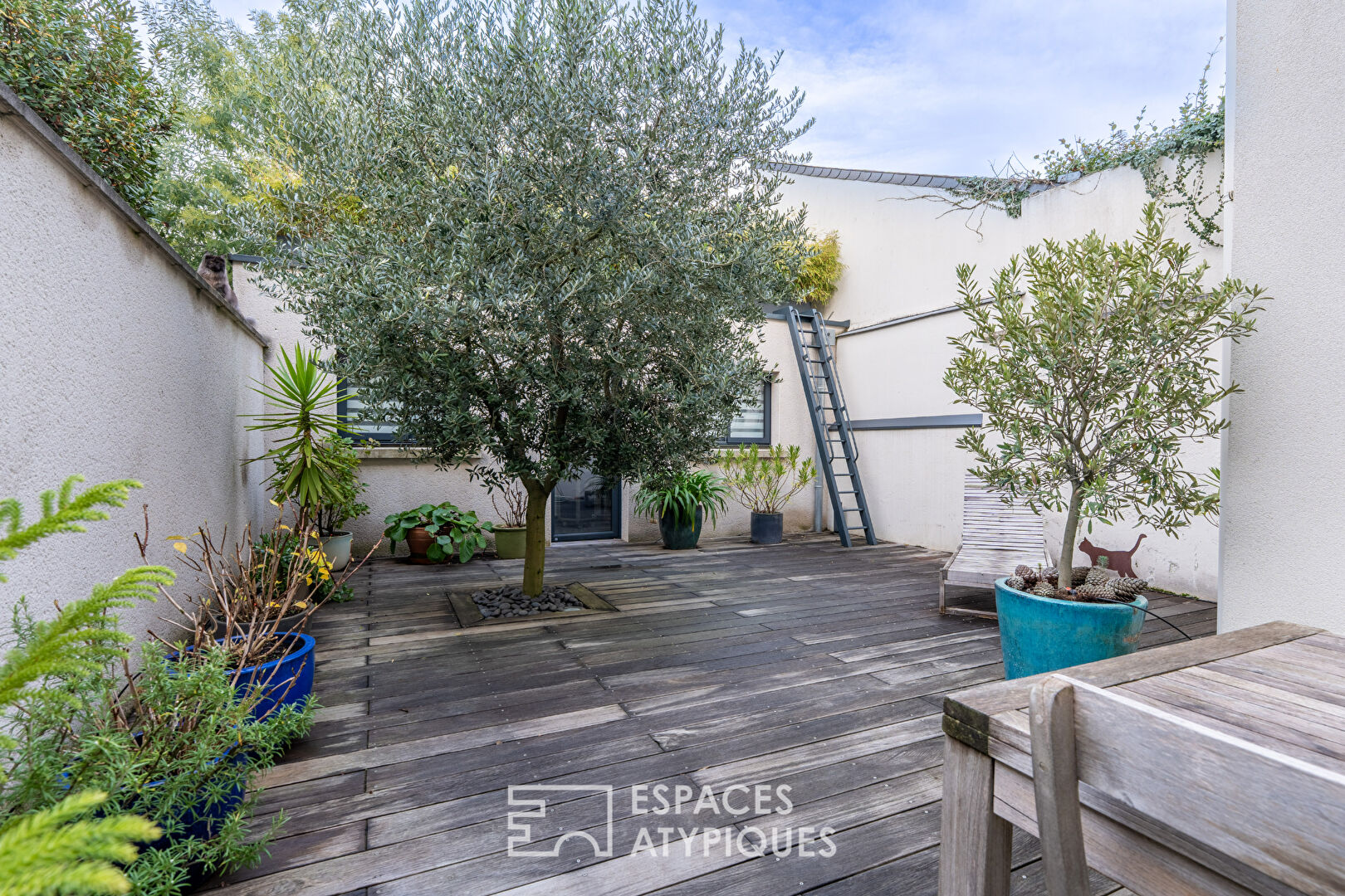 Photo Maison rénovée avec extérieur cosy image 2/6