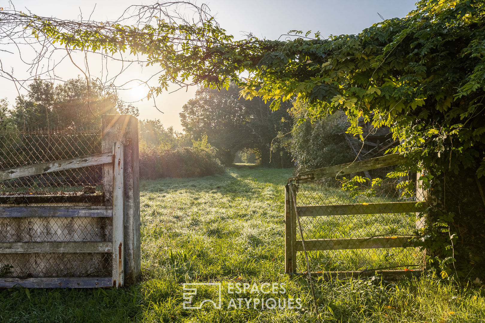 Photo Propriété familiale à revisiter au coeur d'un domaine arboré image 4/6