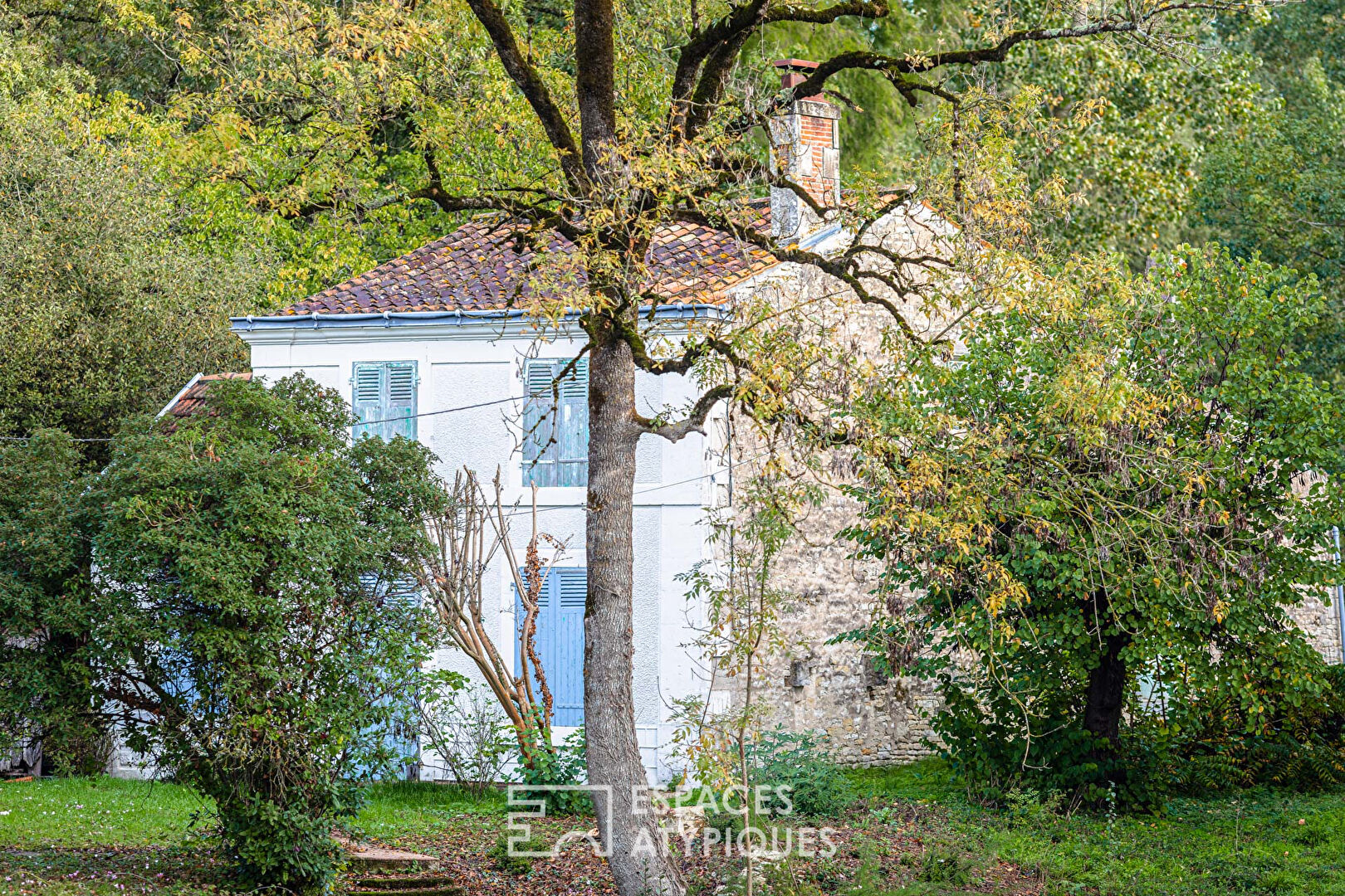 Photo La belle endormie sur son île privée image 2/6