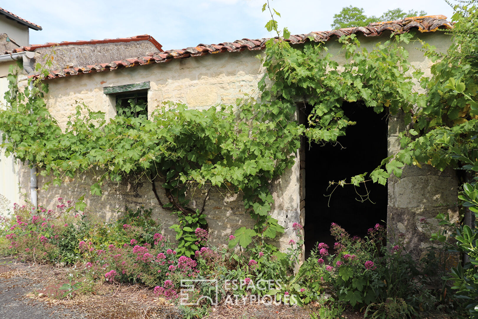 Photo Ancien corps de ferme au potentiel exceptionnel image 3/6