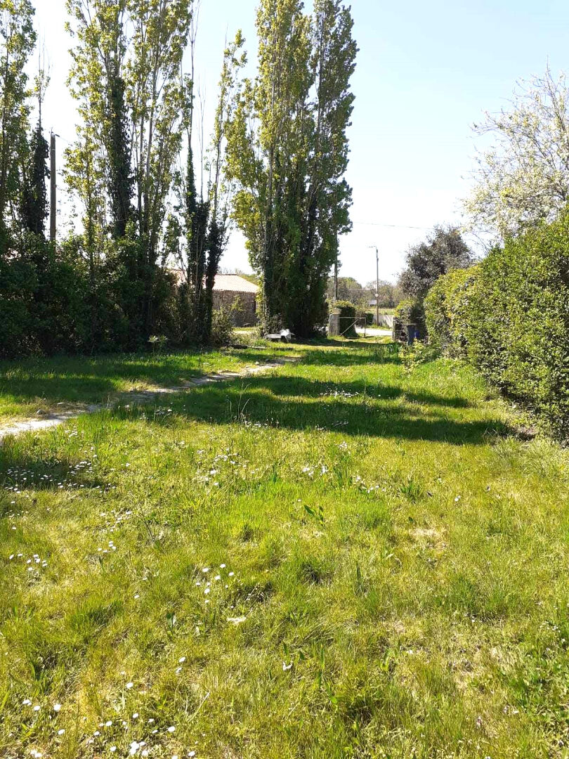 Photo Maison Talmont Saint Hilaire 710m² de terrain constructible image 3/5