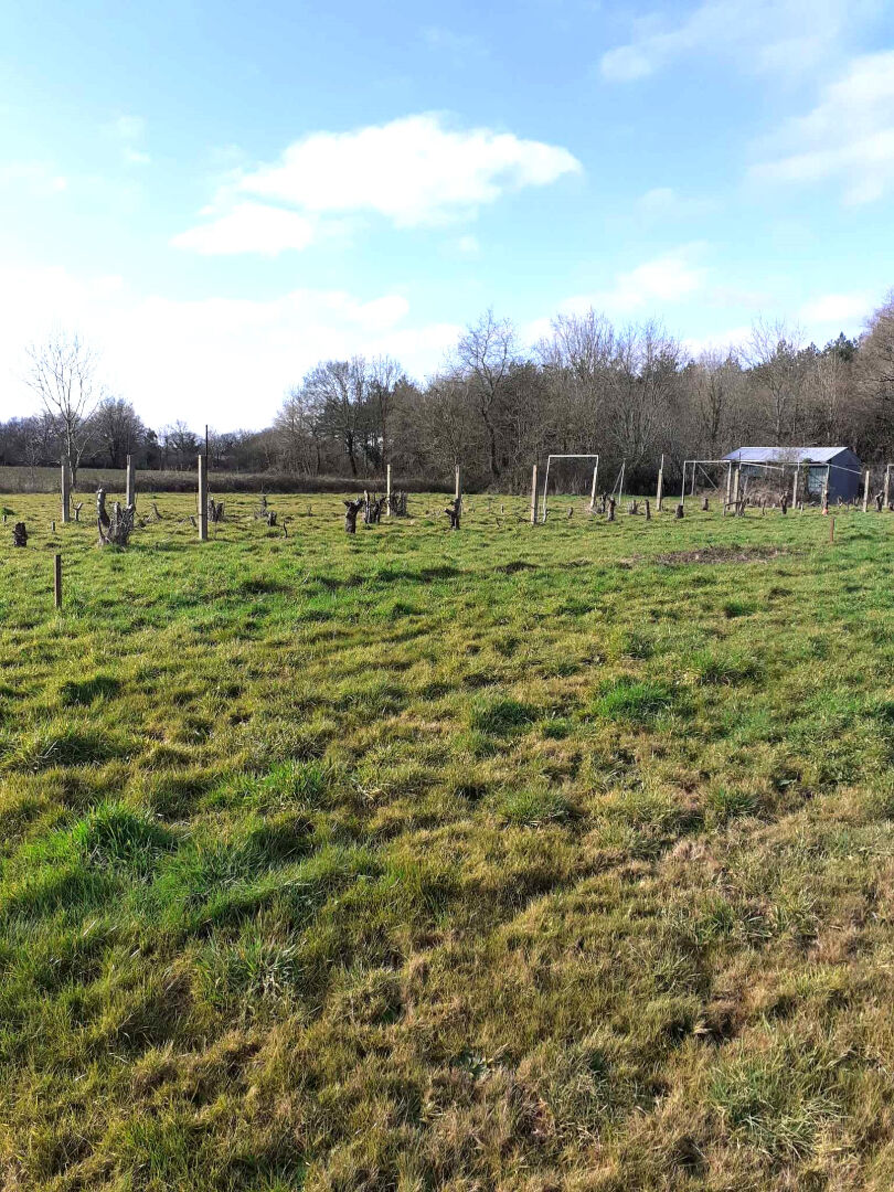 Agence immobilière de EUROCOM Talmont Saint Hilaire