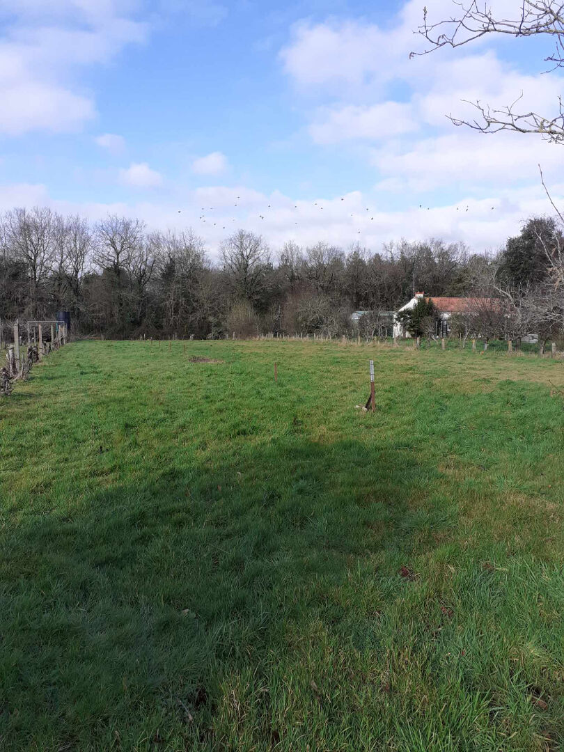Terrain constructible Talmont Saint Hilaire 407m²